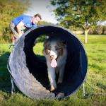 Feelingdog60