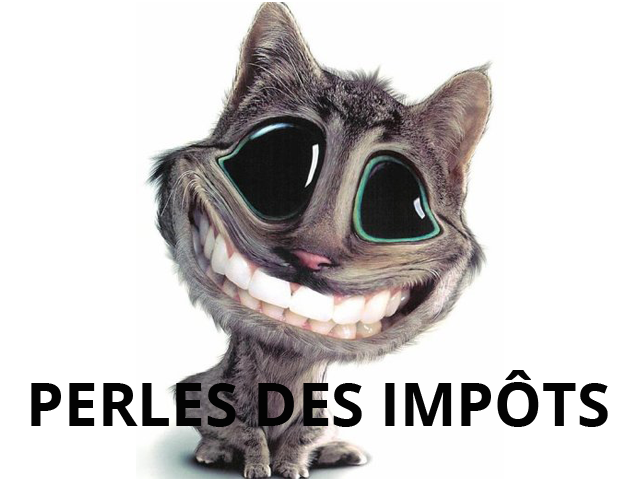 Perle des impots 2 - 640 x 480