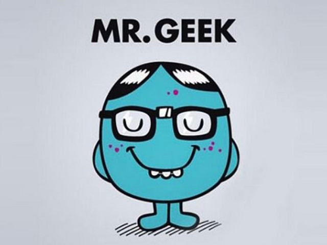 Jobs d'été : MR GEEK - 640 x 480