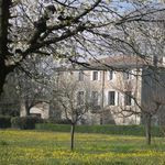 Chardonnier
