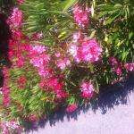 Sandrine0236