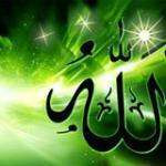 Jamilabou4