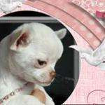 Vivianebon99