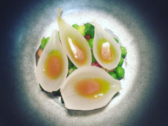 Symphonie gastronomique en Bourgogne 7 joyaux étoilés à Dijon et alentours