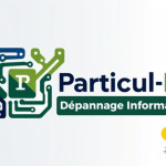 Particulit