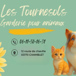 Tournesols03