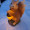 Julie93