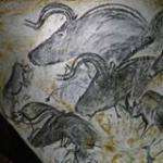 Philippegas6