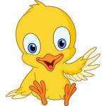Poussinpaqui