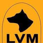 Lvm49