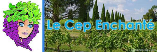 Excursion au cœur d’un vignoble enchanté