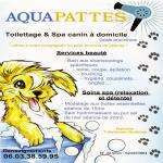 Aquapattes