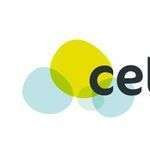 Ceteko