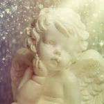 Elodieeche