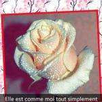 Bissonmagali