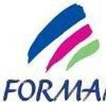 Forman31