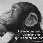 Charleslouis