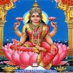 Lakshmisuncr