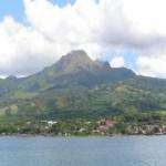 Dominiquener