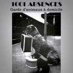 1001absences