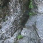 Rotamitro