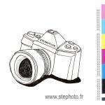 Stephoto
