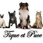 Tiqueetpuce
