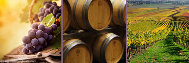 Tour de France des bons vins 