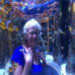 Anneandre