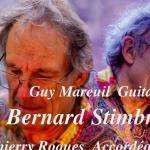 Bernardstimb