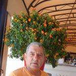 Romainchiapp