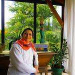 Martinegerva