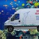 Belaquarium