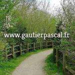 Pascalgaut