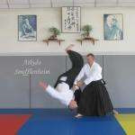 Aikidodojo