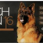 Coachcanin16