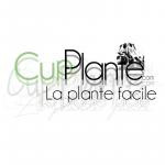 Cupplante
