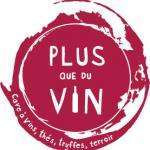 Plusqueduvin
