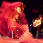 Flamenco09