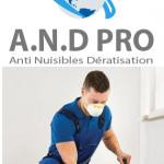 Andproandpro