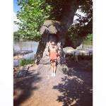 Paulinesmets