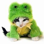 Grenouille59