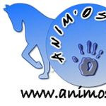 Animosteo