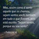 Amordedeus