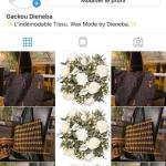 Dienebagackou