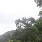 Bastvigneau