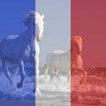 Jeanclaudeme