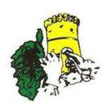 Sarlpiacenti