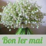 Fatoudiakhit