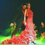 Flamencolyon